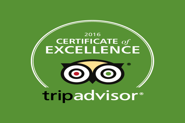 Awards & Reviews